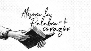 Atesora La Palabra En Tu Corazón 1 Timothy 4:8 New American Bible, revised edition