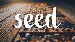 Seeds: What and Why  Перше Послання Петра 1:22 Свята Біблія: Сучасною мовою