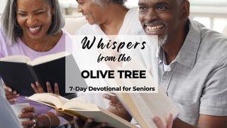 Whispers From the Olive Tree Proverbs 4:1-27 King James Version
