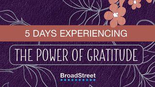 5 Days Experiencing the Power of Gratitude 1 Chronicles 28:20-21 The Message