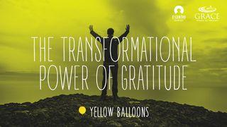 The Transformational Power of Gratitude Ephesians 5:25-28 The Message