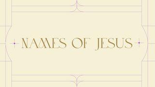 The Names of Jesus: A Holy Week Devotional Exodus 29:39 Revised Standard Version
