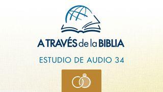 A Través De La Biblia - Escucha El Libro De Cantares Cantares 2:3 Nueva Biblia Viva