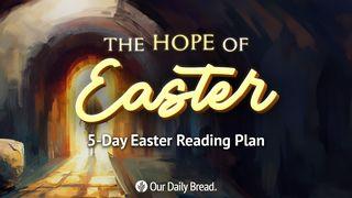 The Hope of Easter | 5-Day Easter Reading Plan 约翰福音 13:20 新标点和合本, 神版