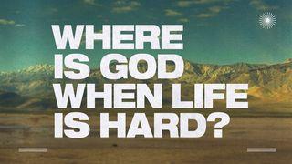 Where Is God When Life Is Hard? Psalms 56:4 New American Bible, revised edition
