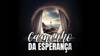 Caminho da Esperança Mateus 13:4 Nova Bíblia Viva Português