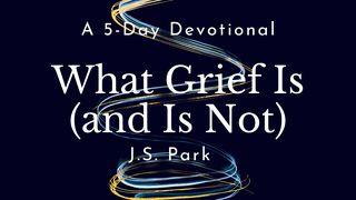 What Grief Is (And Is Not) by J.S. Park Psalm 31:9 Good News Translation (US Version)