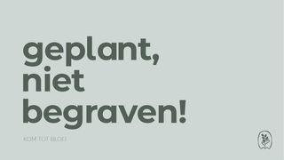 DagelijkseBroodkruimels - Geplant, niet begraven! Galaten 2:20 Herziene Statenvertaling