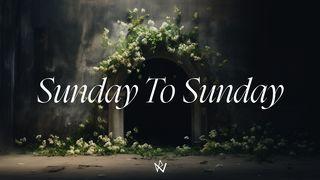 Sunday to Sunday John 12:1-8 Contemporary English Version Interconfessional Edition