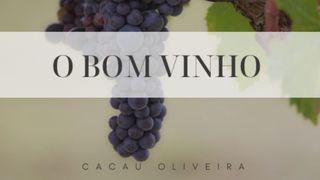 O Melhor Vinho Tiago 1:2-5 Nova Versão Internacional - Português