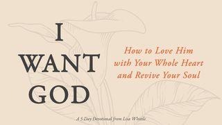 I Want God: How to Love Him With Your Whole Heart and Revive Your Soul Isaiah 35:8 GOD'S WORD