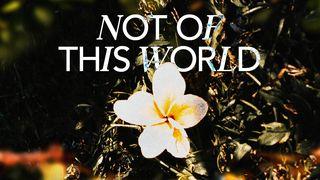 Not of This World 1 Peter 2:19 New Living Translation