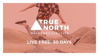 True North: LIVE Free 30 Days Zjevení 12:13-14 Český studijní překlad