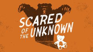 Scared Of The Unknown 2 Corinthians 4:16-18 New American Standard Bible - NASB