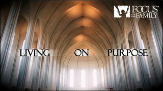 Living On Purpose Proverbs 21:5 New King James Version