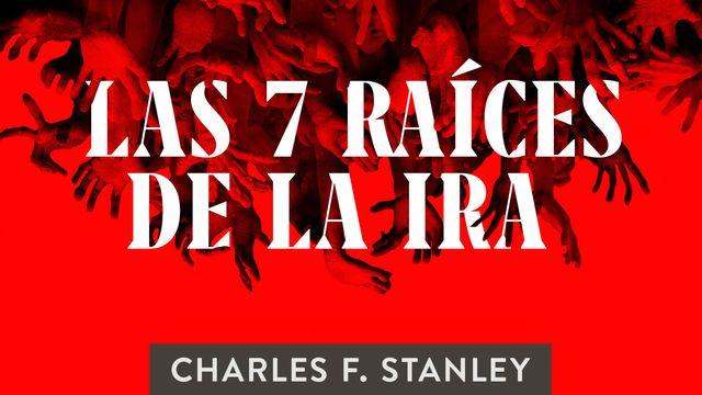 Las 7 raíces de la ira