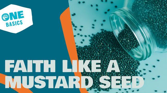 Faith Like a Mustard Seed
