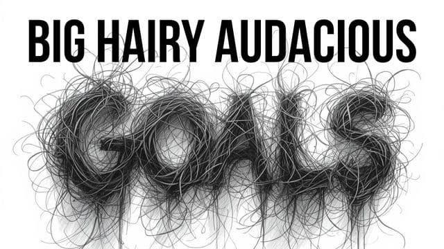 BHAGs: Big Hairy Audacious Goals