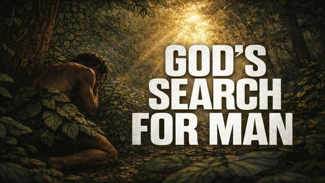 God's Search for Man -- 3 Questions That Change Everything