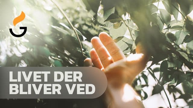 Livet der bliver ved