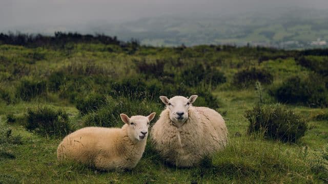 Faith Over Fear - Beholding the Unchanging God