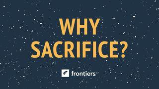 Why Sacrifice? Embracing God’s Promises For Joy And Fruitfulness Psalms 31:14 New Living Translation
