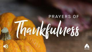 Prayers Of Thankfulness  The Books of the Bible NT