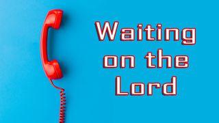Waiting On The Lord Genesis 16:5-6 New International Version