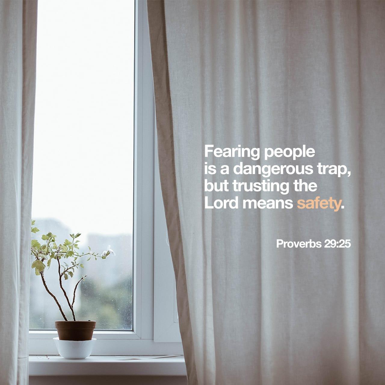 Bible Verse of the Day - day 88 - image 10776 (Proverbs 29:1-27)