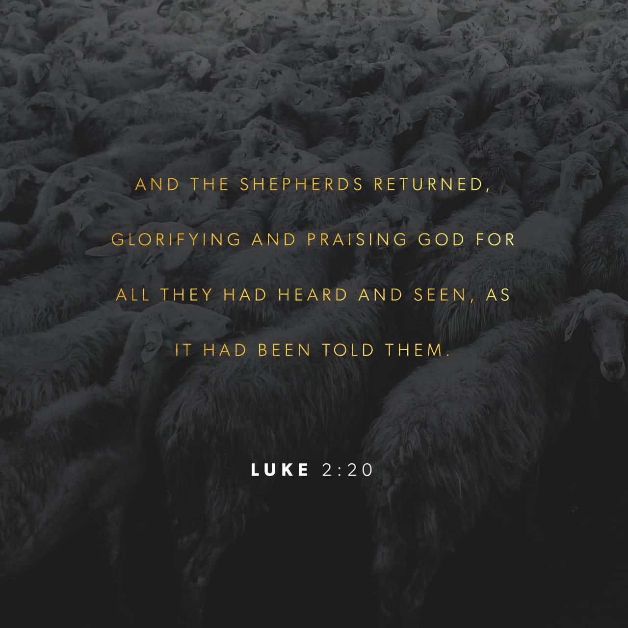 Bible Verse of the Day - day 152 - image 1182 (Luke 2:8-20)