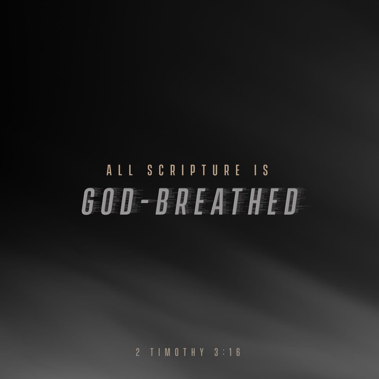 Bible Verse of the Day - day 83 - image 13764 (2 Timothy 3:16)