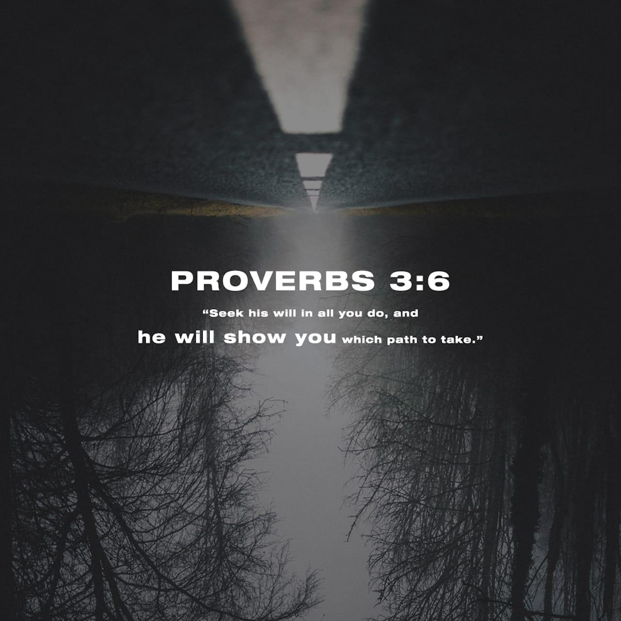 Bible Verse of the Day - day 155 - image 15579 (Proverbs 3:5-6)
