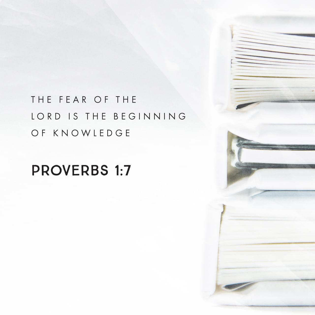Bible Verse of the Day - day 153 - image 1568 (Proverbs 1:7)
