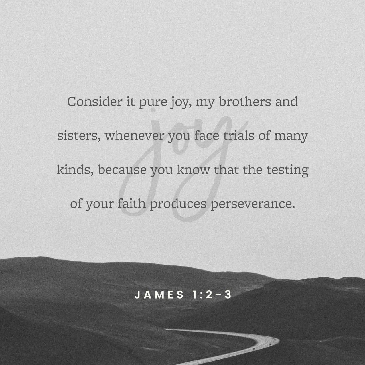 Bible Verse of the Day - day 90 - image 2185 (James 1:2)