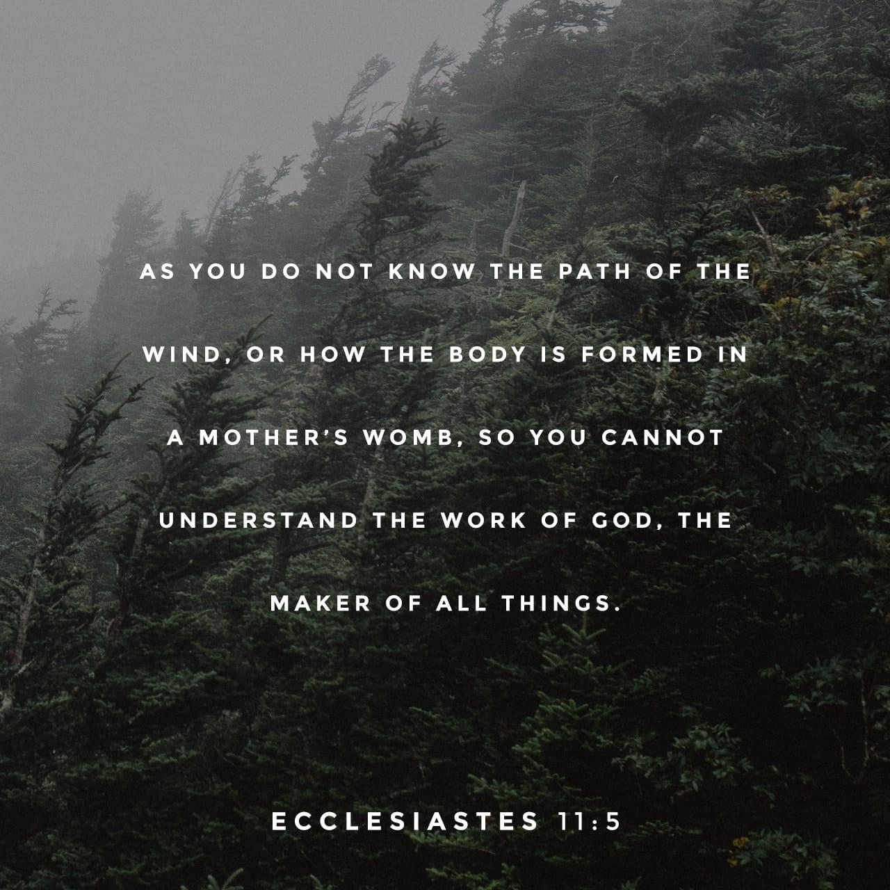 Bible Verse of the Day - day 82 - image 2188 (Ecclesiastes 11:1-6)