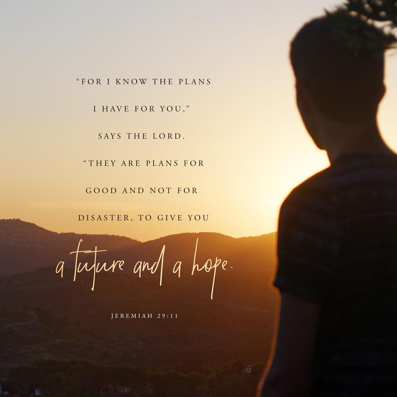 Bible Verse of the Day - day 83 - image 23013 (Jeremiah 29:11)