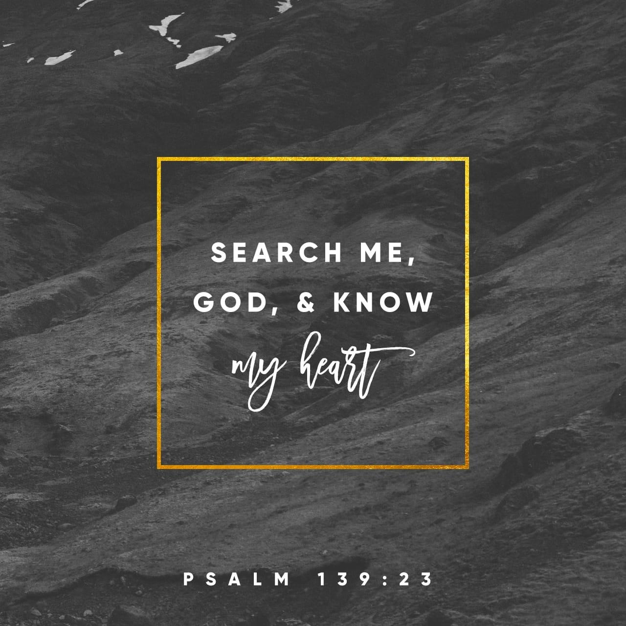 Bible verse of the day - Day 87 - image 2417 (Psalms 139:23-24)