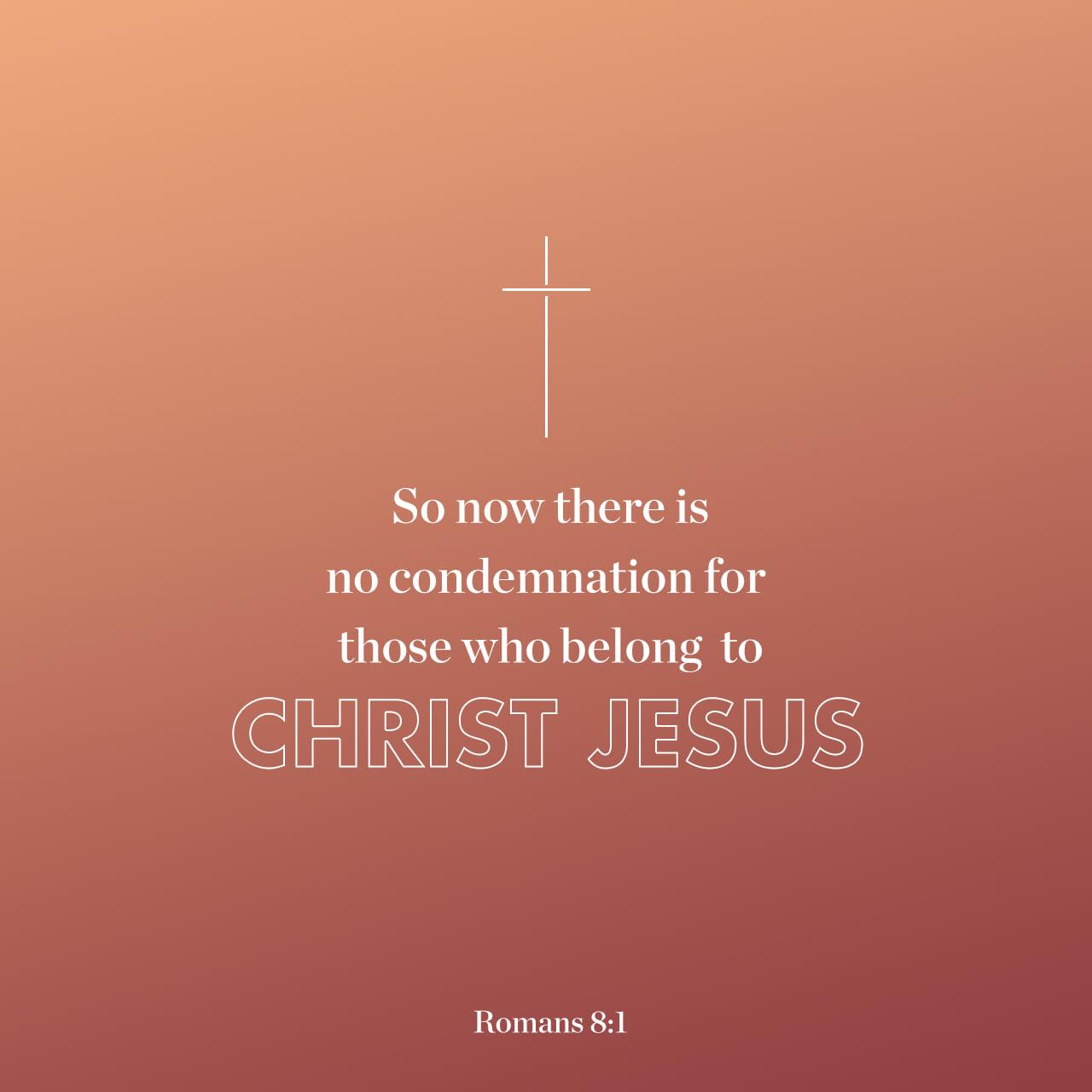Bible Verse of the Day - day 156 - image 2601 (Romans 8:1)
