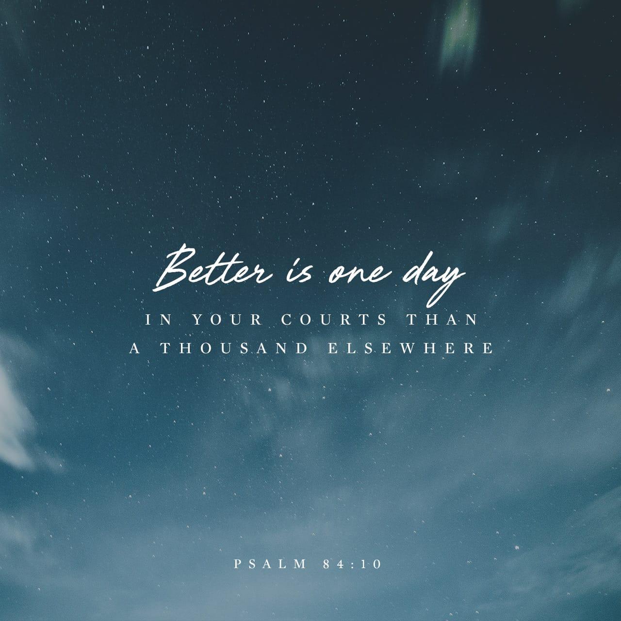 Bible Verse of the Day - day 148 - image 2603 (Psalms 84:1-12)
