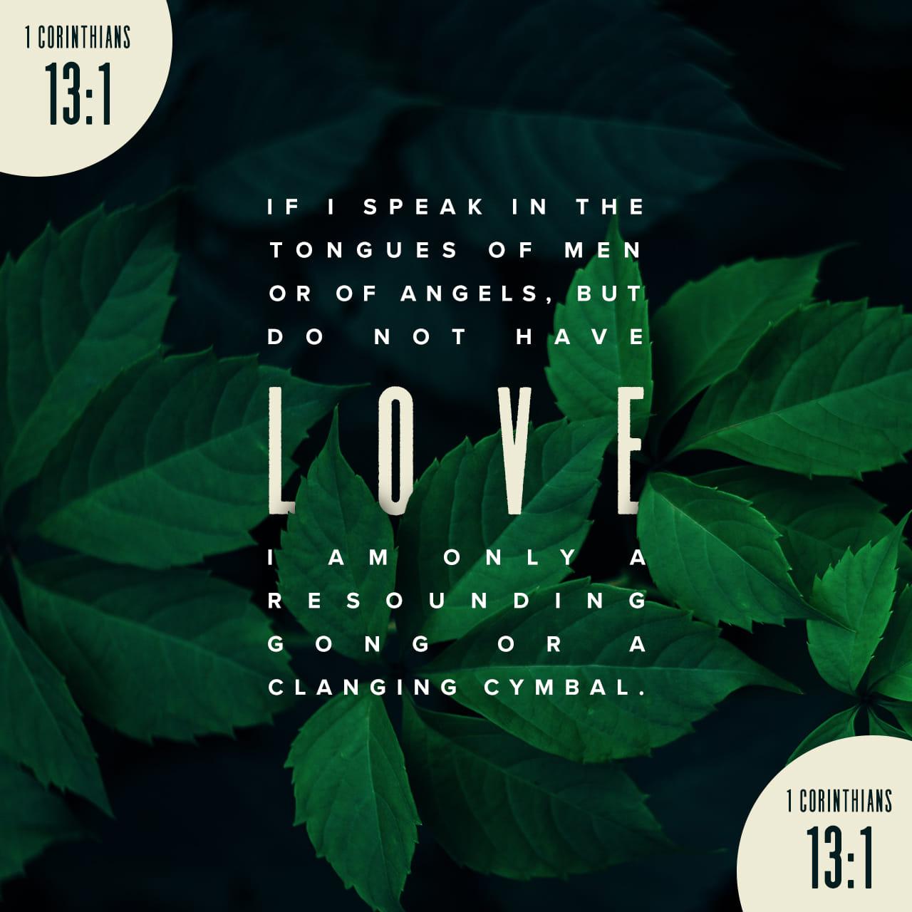 Bible Verse of the Day - day 89 - image 27094 (1 Corinthians 13:1-13)
