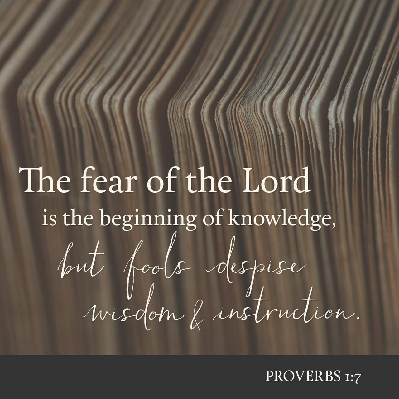 Bible Verse of the Day - day 153 - image 282 (Proverbs 1:7)