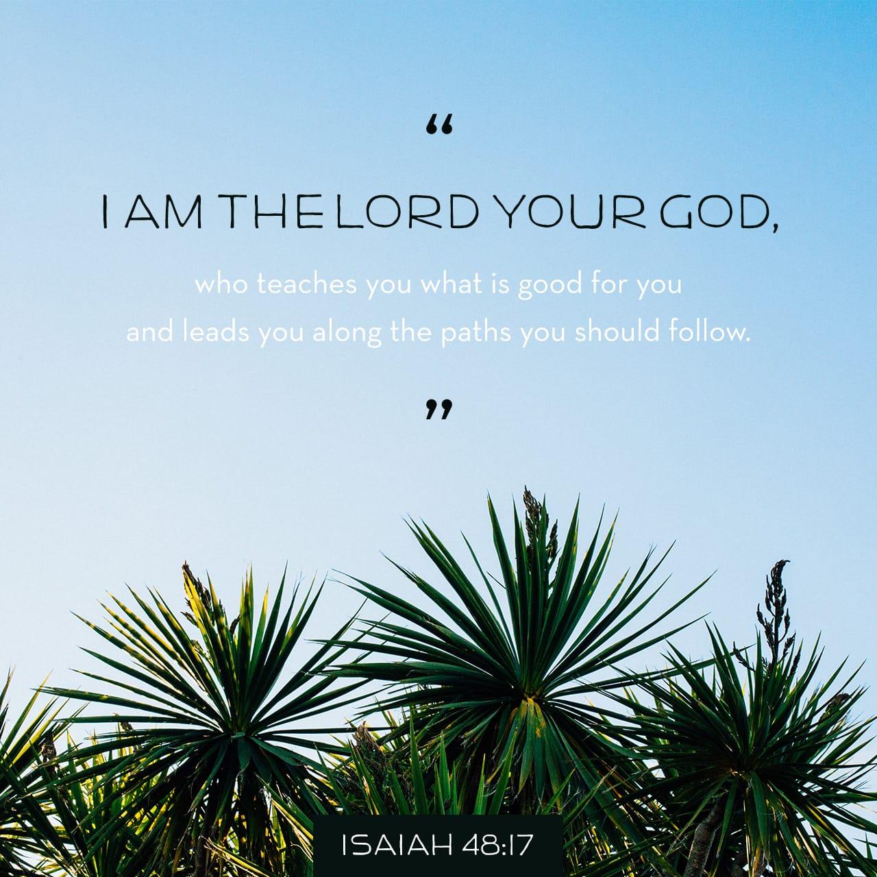 Bible Verse of the Day - day 90 - image 2933 (Isaiah 48:17-18)