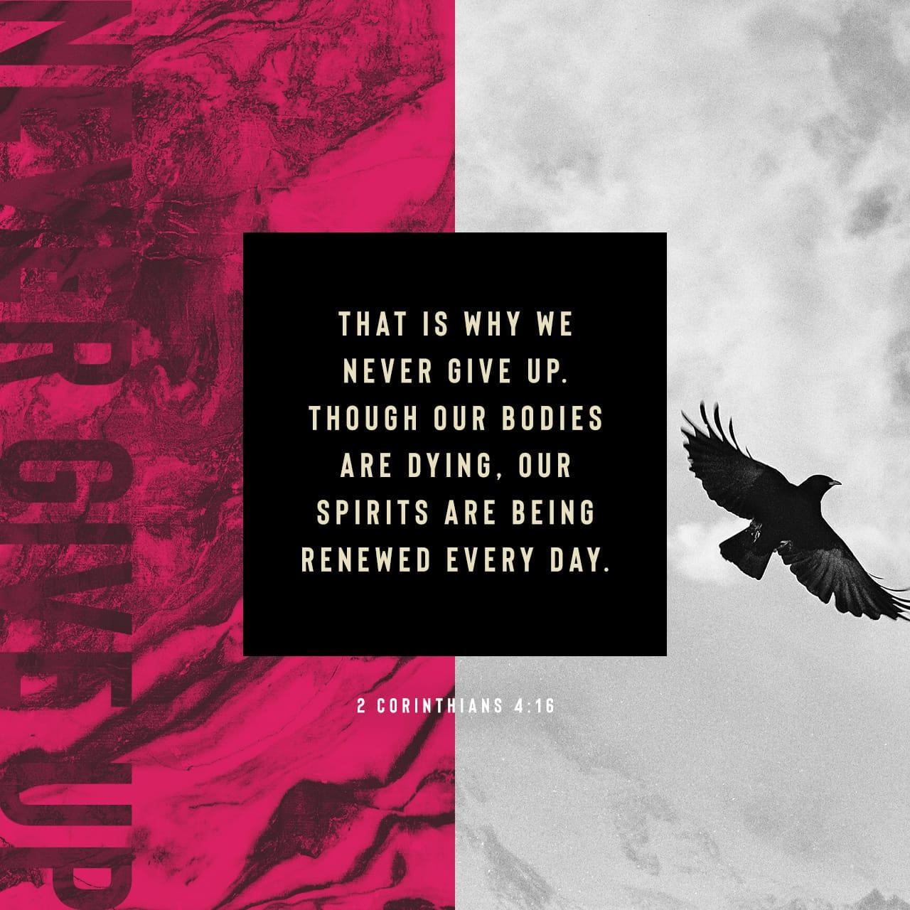 Bible Verse of the Day - day 91 - image 32905 (2 Corinthians 4:16)
