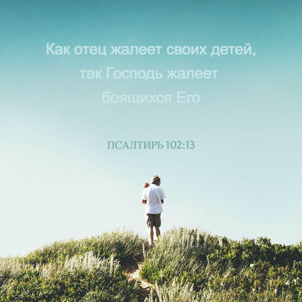 Bible Verse of the Day - day 85 - image 36772 (Псалтирь 102:13)