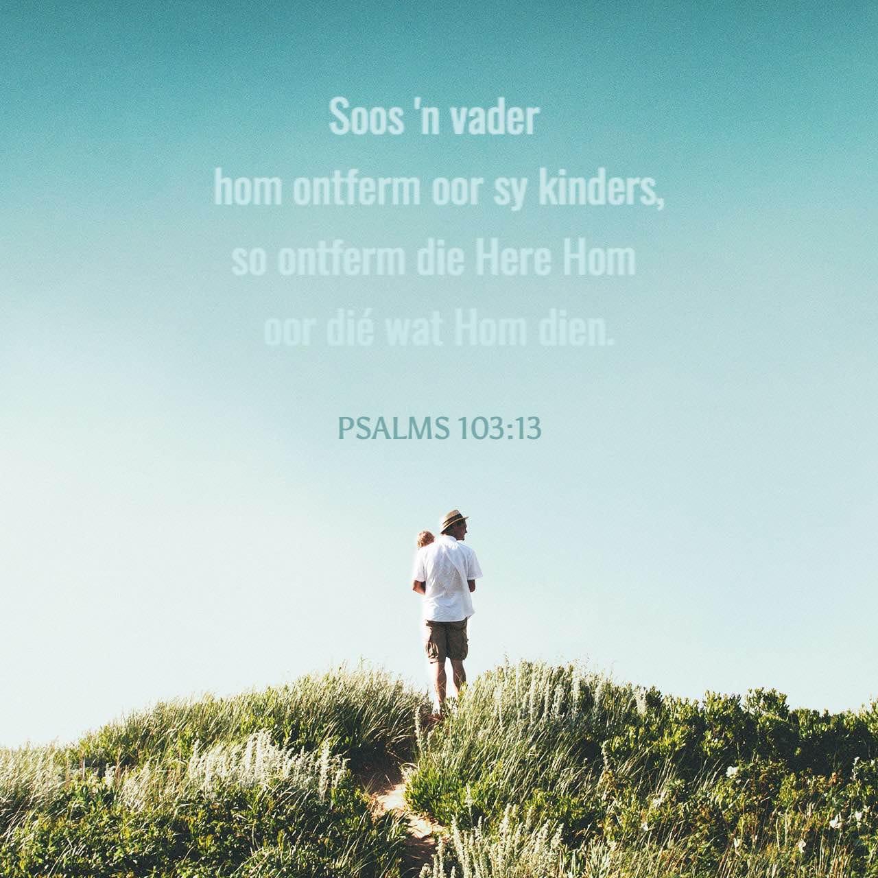 Bible Verse of the Day - day 85 - image 37533 (PSALMS 103:13)