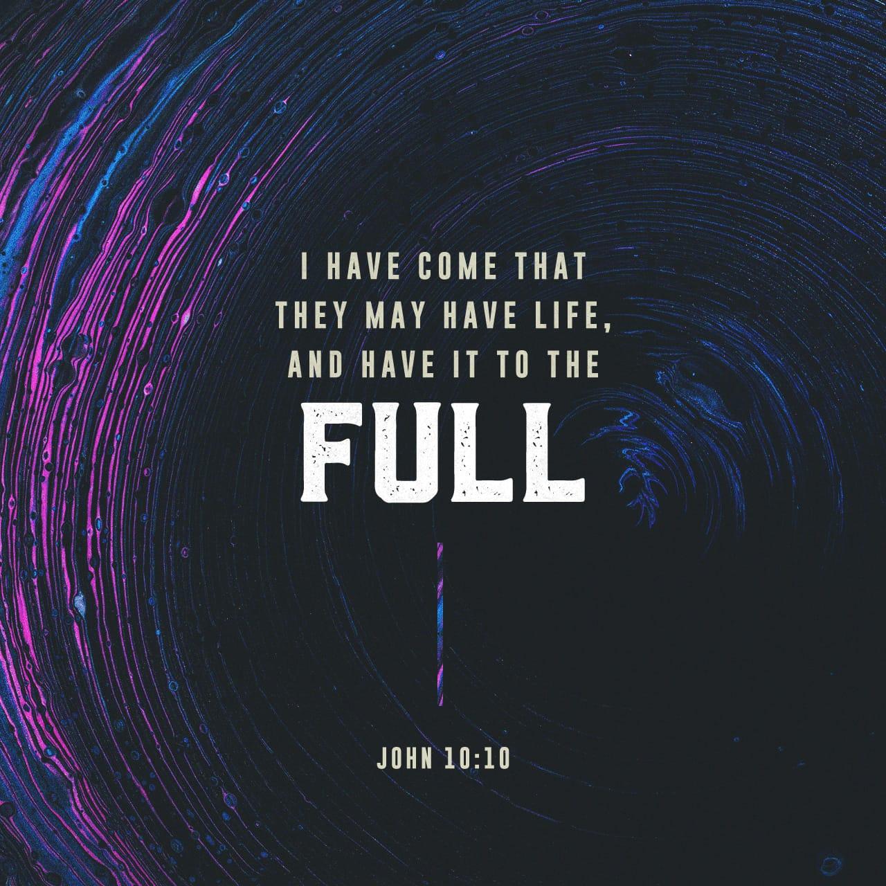 Bible Verse of the Day - day 84 - image 37579 (John 10:10)