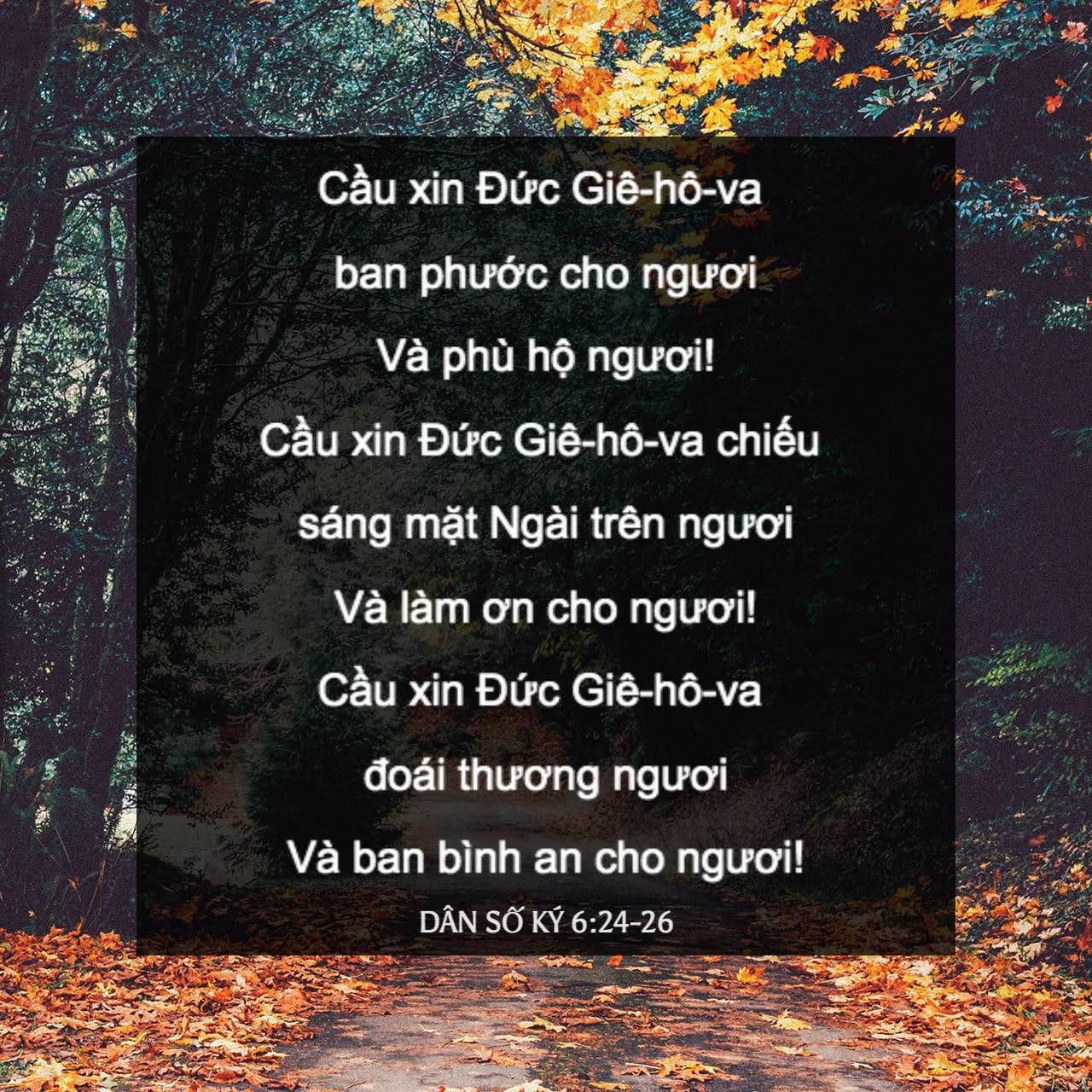 Câu Kinh Thánh trong ngày | YouVersion