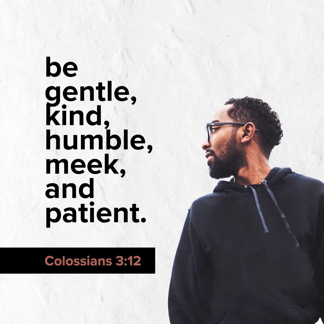 Bible Verse of the Day - day 148 - image 42328 (Colossians 3:12)