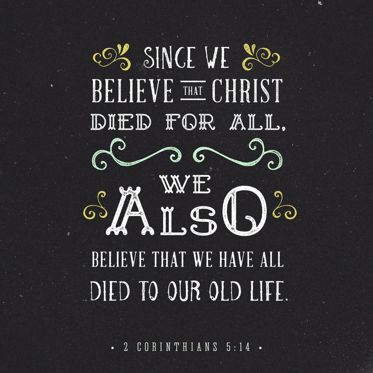 Bible Verse of the Day - day 155 - image 474 (2 Corinthians 5:14-21)