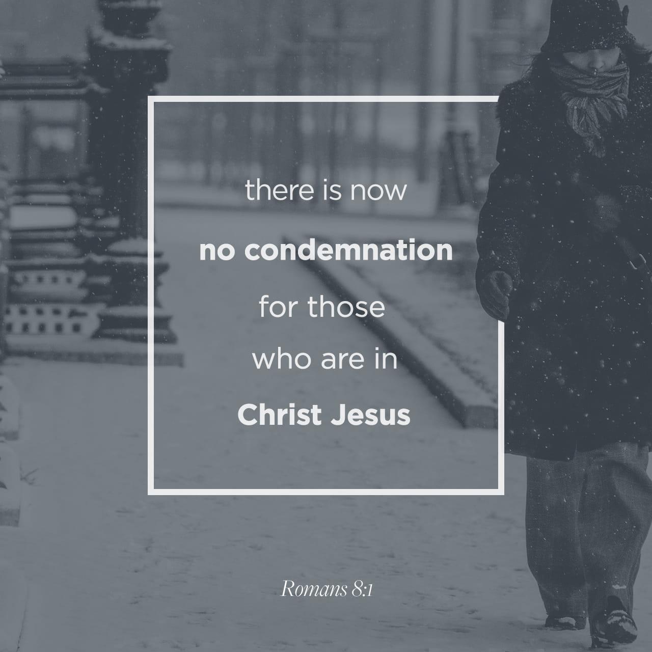 Bible Verse of the Day - day 149 - image 525 (Romans 8:1)